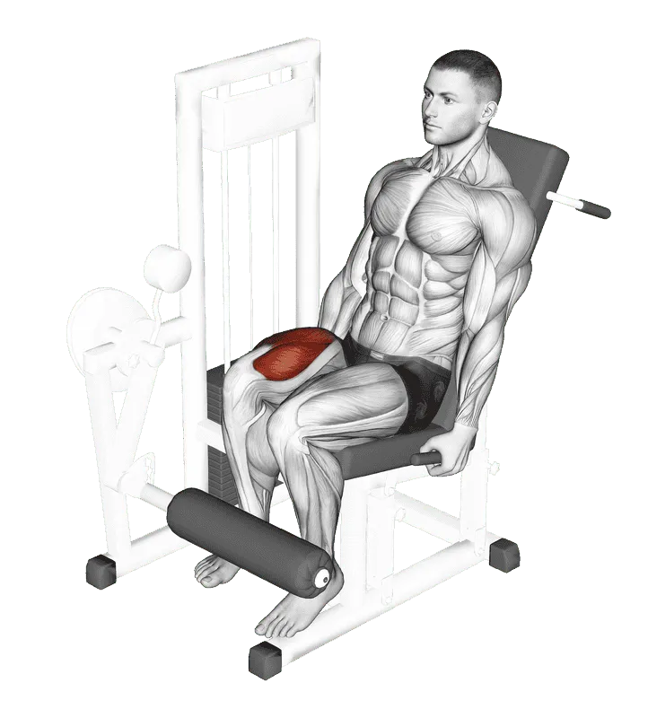Lever One Leg Extension, Male demonstration, Start