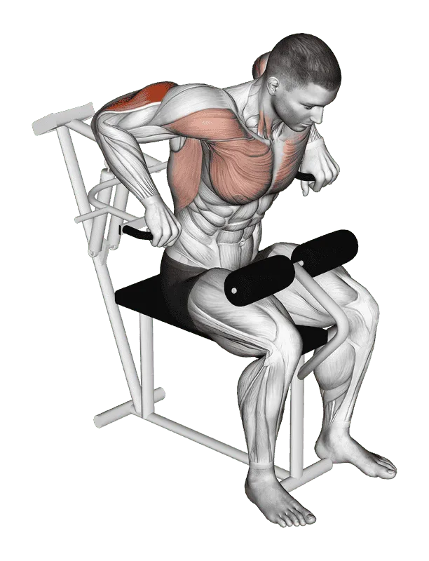 Lever Overhand Triceps Dip