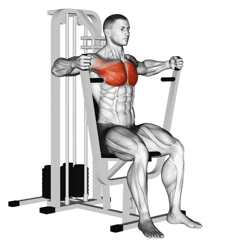 Lever Parallel Chest Press