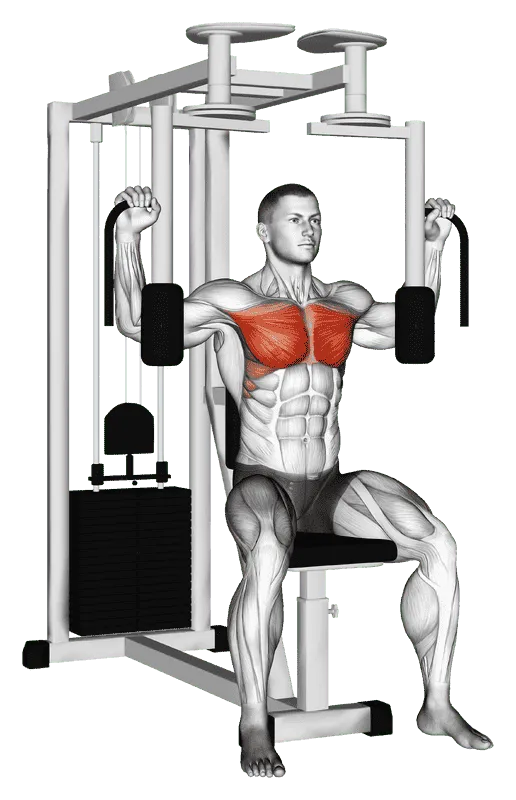 Lever Pec Deck Fly