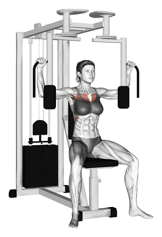 Lever Pec Deck Fly, Female demonstration, Start