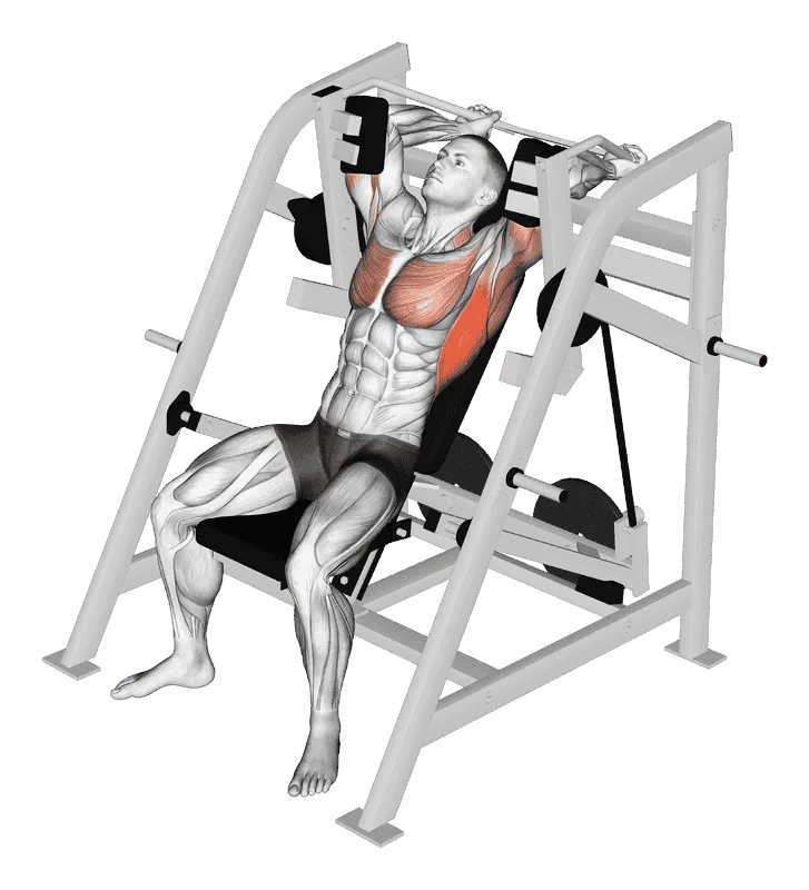 Lever Pullover (Plate-Loaded), Male demonstration, Start