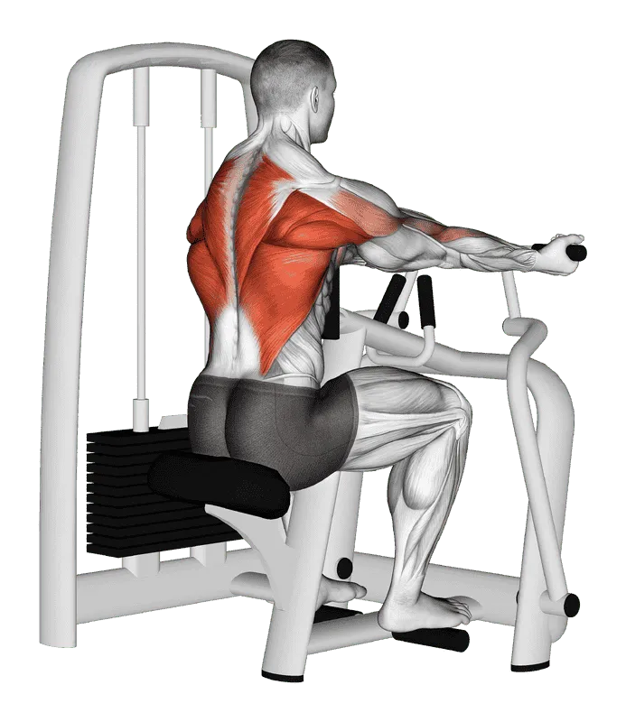 Lever Reverse Grip Vertical Row, Male demonstration, Start