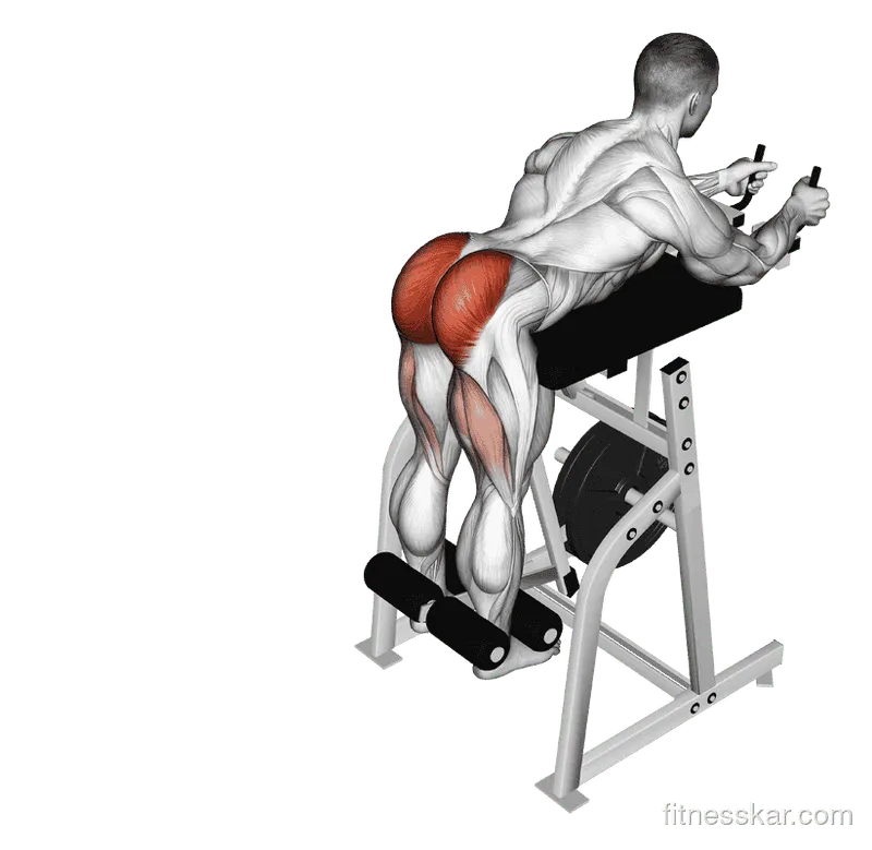 Lever Reverse Hyperextension (Plate-Loaded)