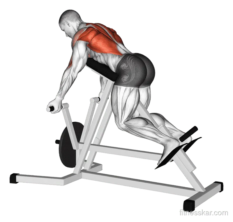 Lever Reverse T-Bar Row, Male demonstration, Start