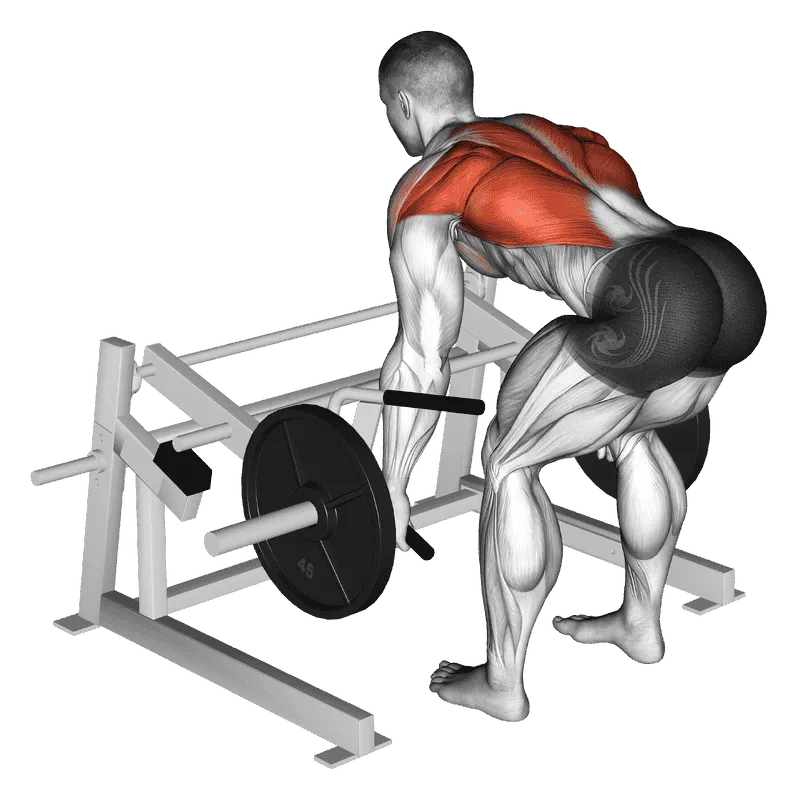 Lever Row (Plate-Loaded)