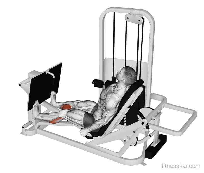Lever Seated Calf Press