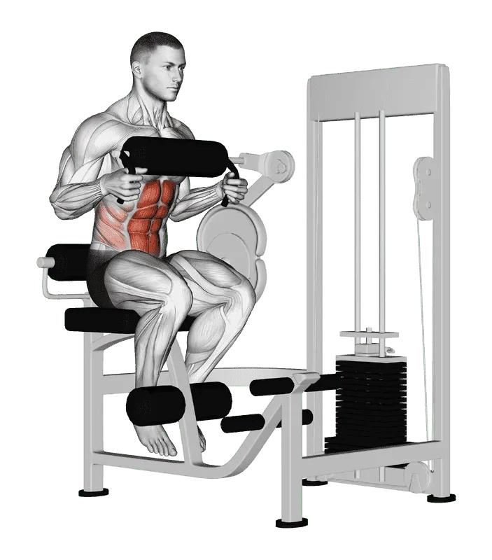 Lever Seated Crunch (Chest Pad), Male demonstration, Start