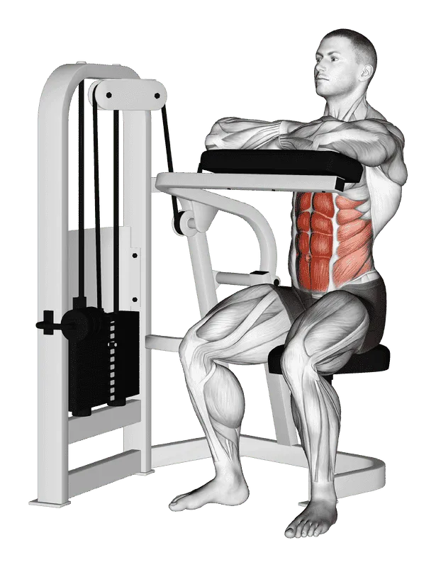 Lever Seated Crunch (Hands on Pad)