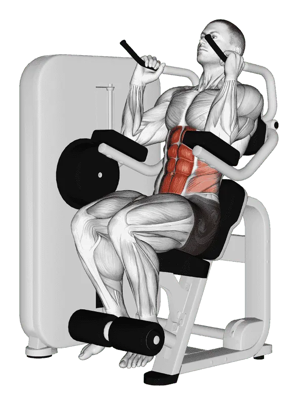 Lever Seated Crunch