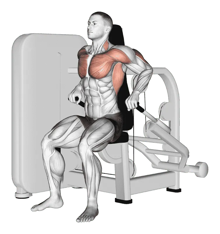 Lever Seated Dip