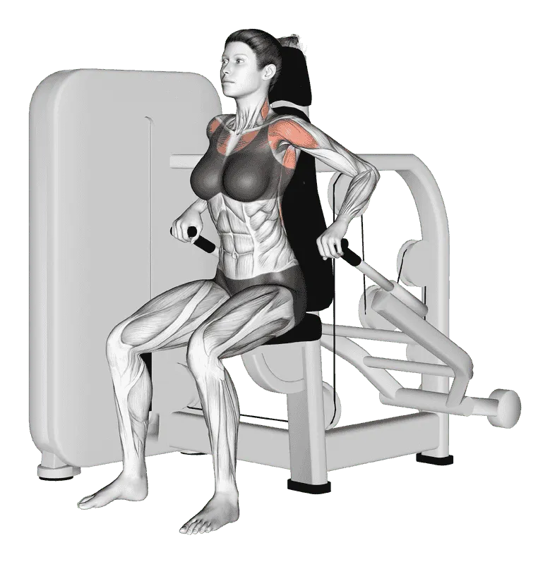 Lever Seated Dip, Female demonstration, Start
