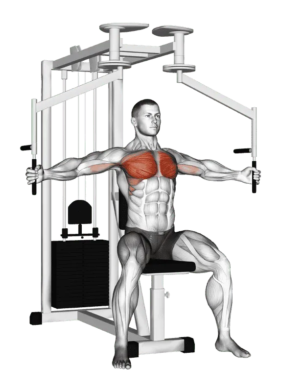 Lever Seated Fly