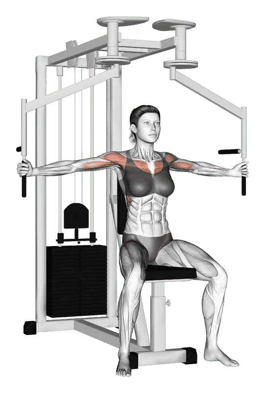 Lever Seated Fly, Female demonstration, Start