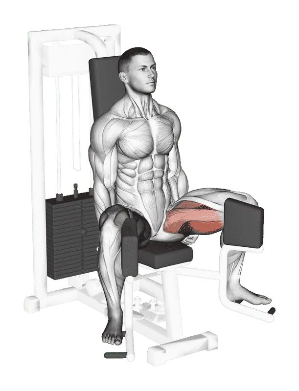 Lever Seated Hip Adduction, Male demonstration, Start
