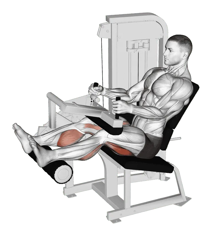 Lever Seated Leg Curl