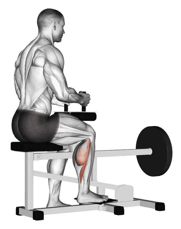 Lever Seated One-Leg Calf Raise
