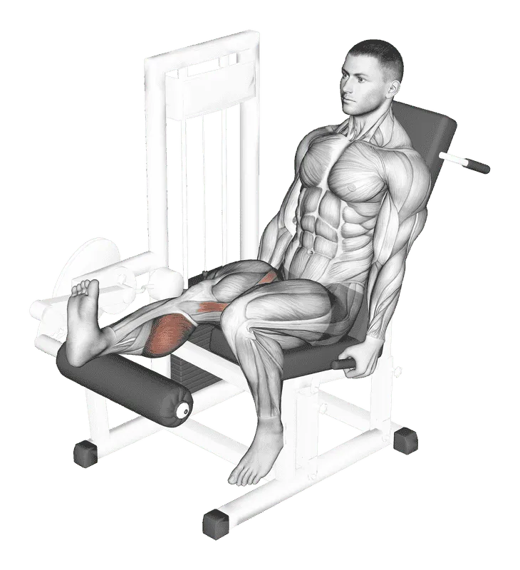 Lever Seated One-Leg Curl, Male demonstration, Start