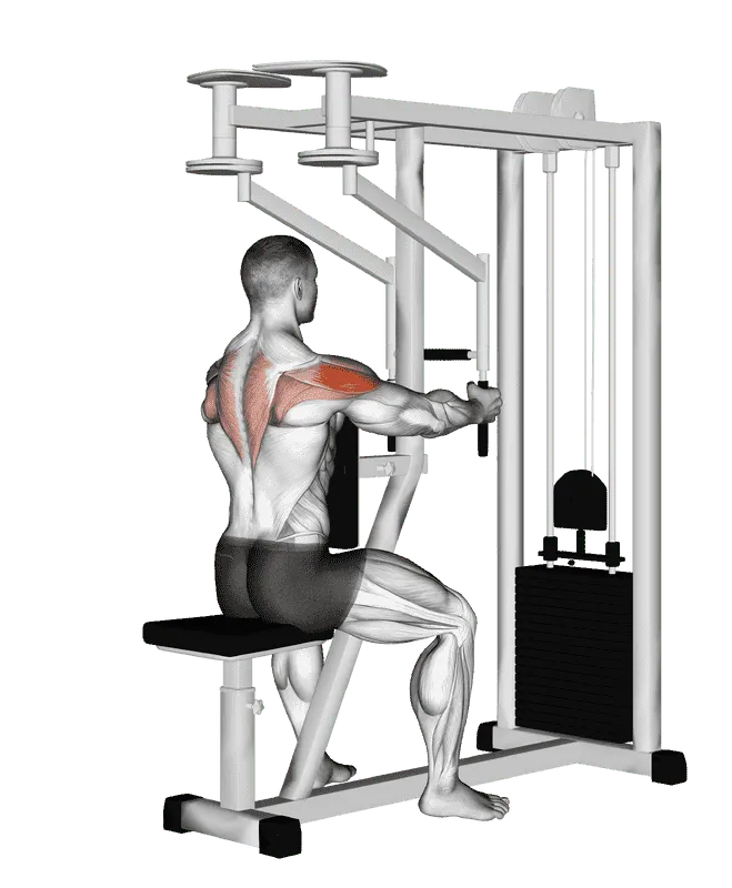 Lever Seated Reverse Fly (Parallel Grip)