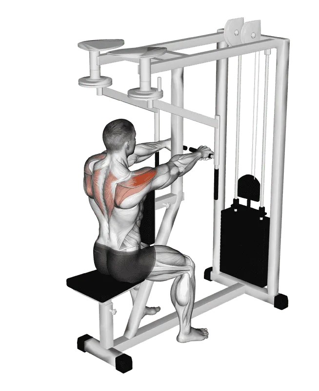 Lever Seated Reverse Fly