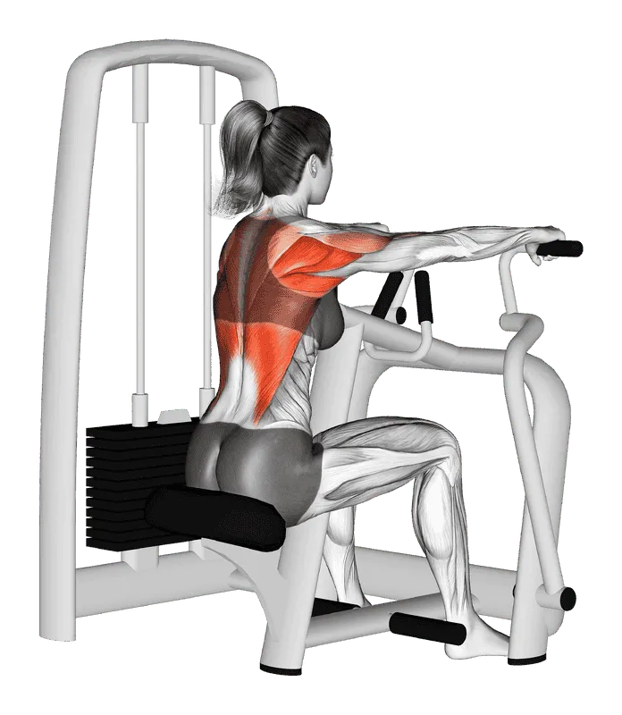 Lever Seated Row, Female demonstration, Start