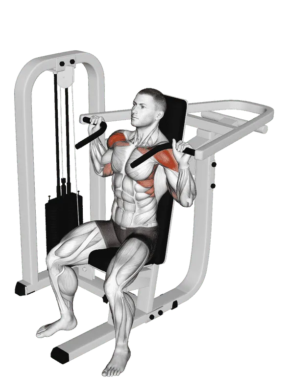 Lever Seated Shoulder Press