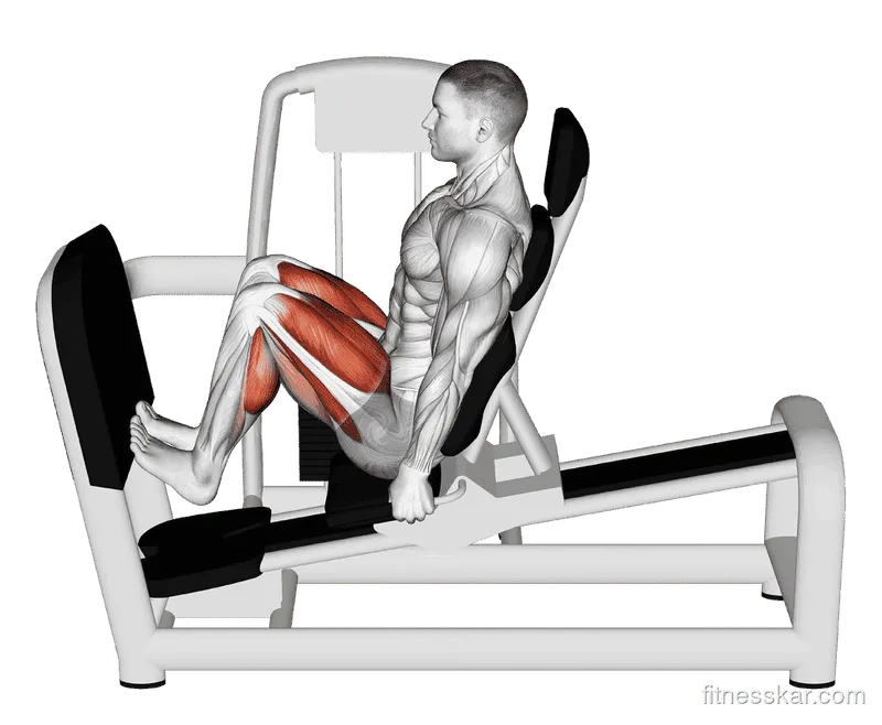Lever Seated Squat Calf Raise on Leg Press Machine, Male demonstration, Start