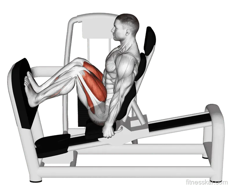 Lever Seated Squat, Male demonstration, Start
