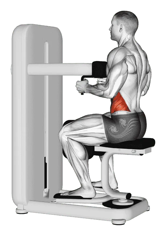 Lever Seated Twist