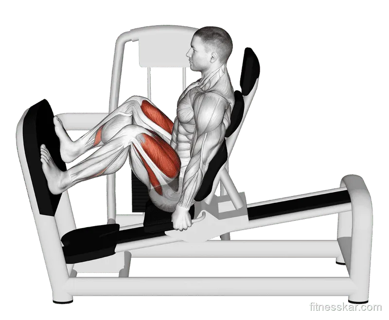 Lever Seated Wide Squat