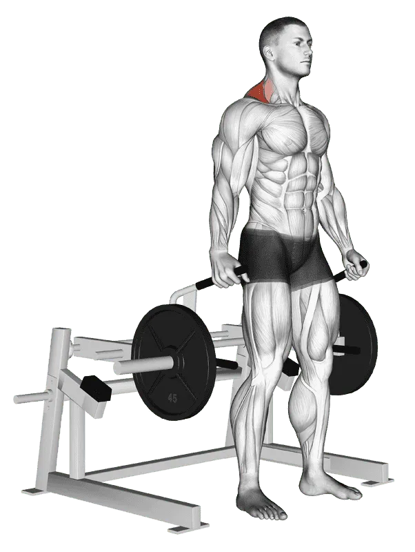 Lever Shrug (Plate-Loaded)