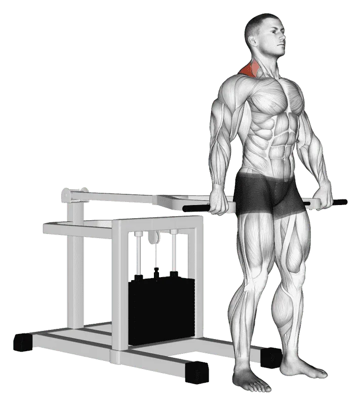 Lever Shrug (bench press machine), Male demonstration, Start