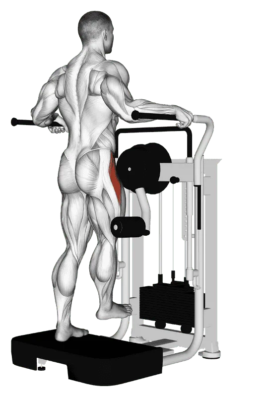 Lever Side Hip Abduction