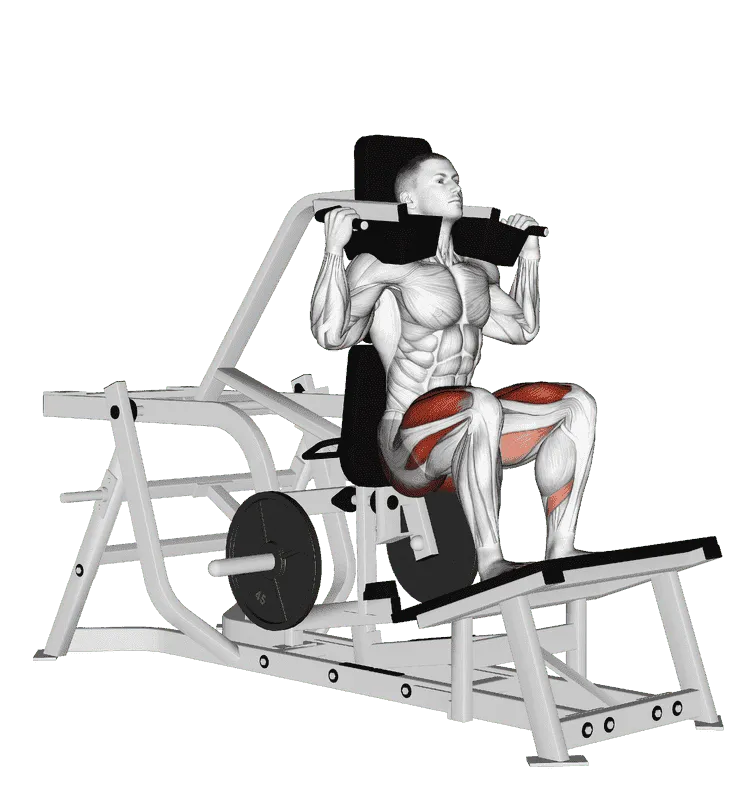 Lever Squat (Plate-Loaded)