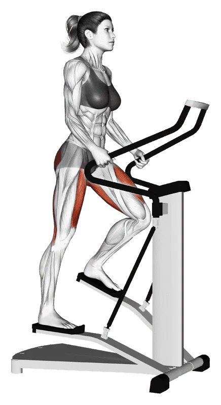 Lever Stepper Cardio