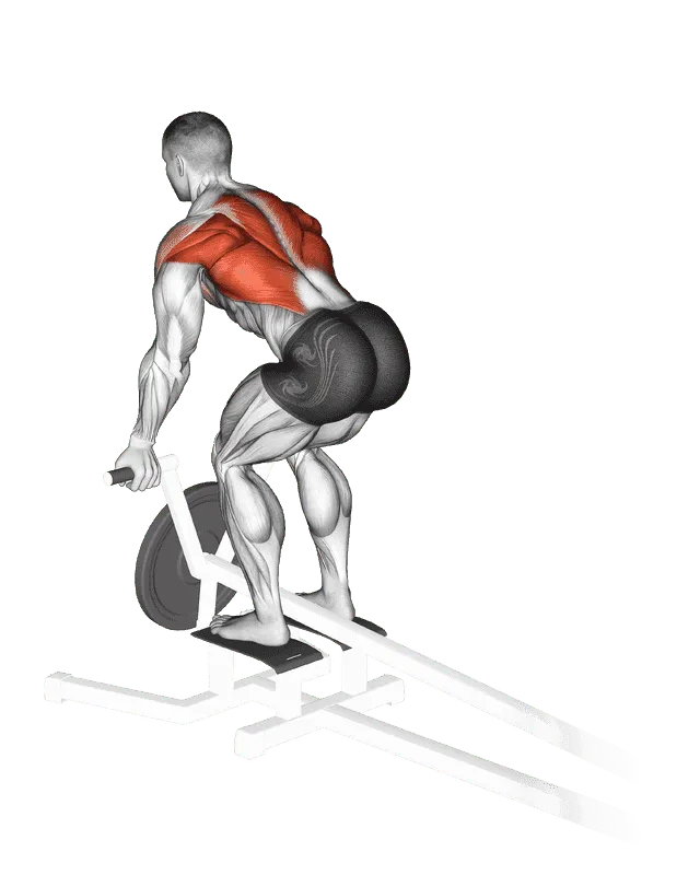 Lever T-Bar Reverse Grip Row