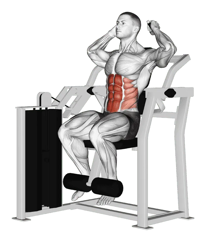 Lever Total Abdominal Crunch