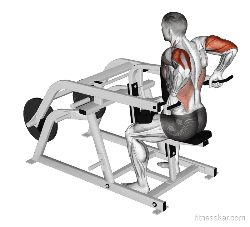 Lever Triceps Dip (Plate-Loaded)