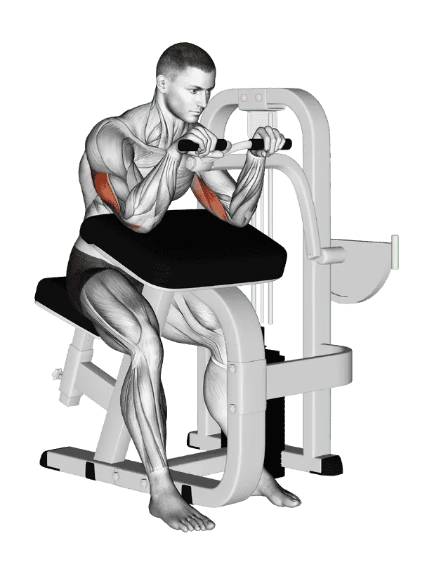 Lever Triceps Extension, Male demonstration, Start