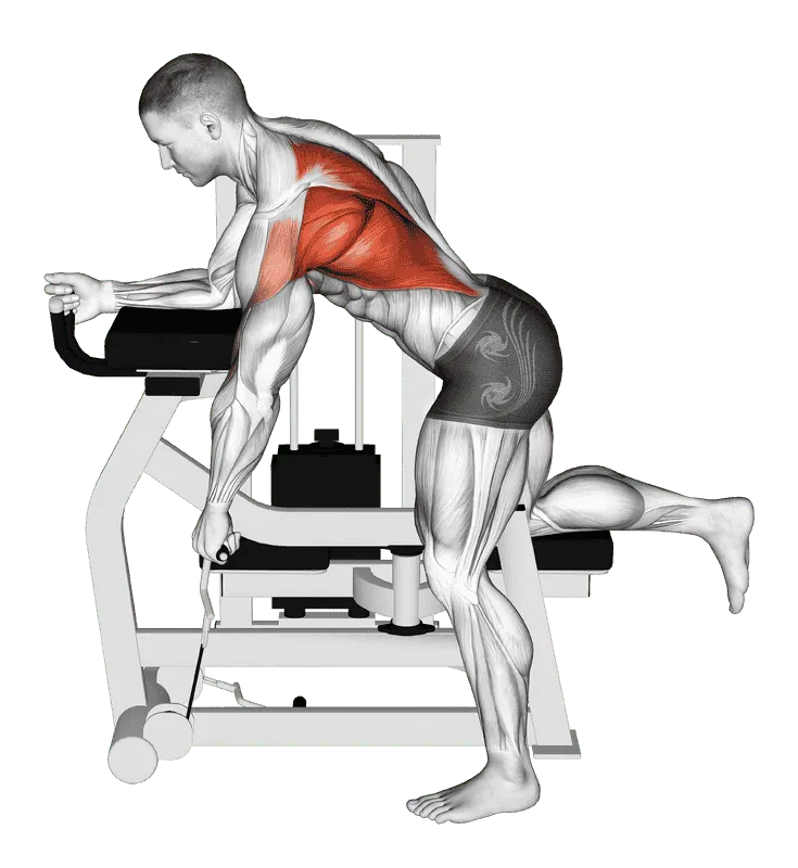 Lever Unilateral Row