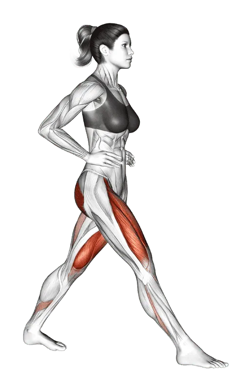 Lunge