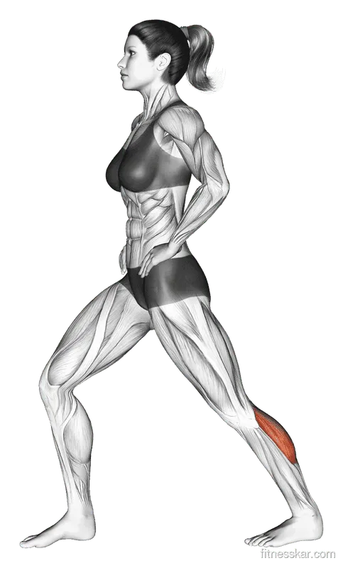 Lunging Straight Leg Calf Stretch