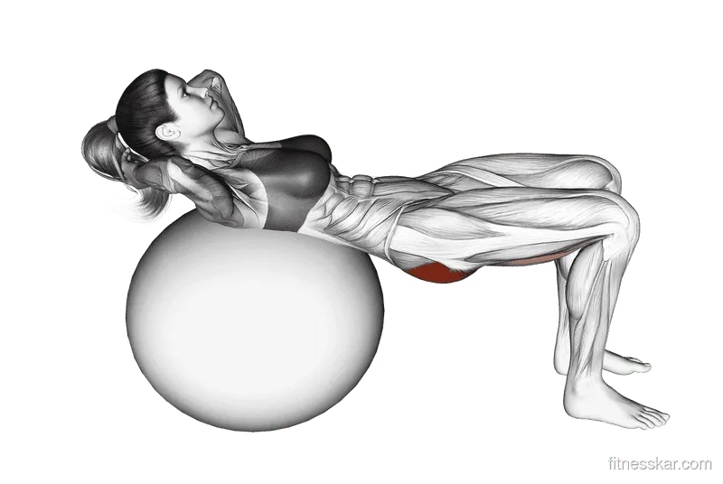 Lying Hip Lift (on stability ball), Female demonstration, Start