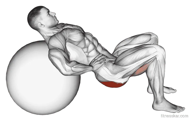 Lying Hip Lift (on stability ball), Male demonstration, Start