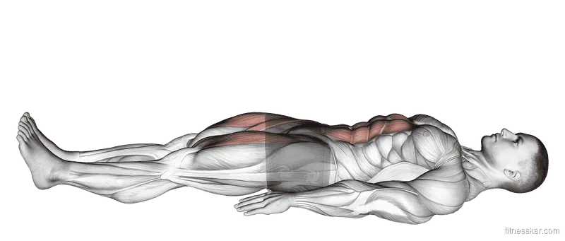 Lying Leg Raise and Hold