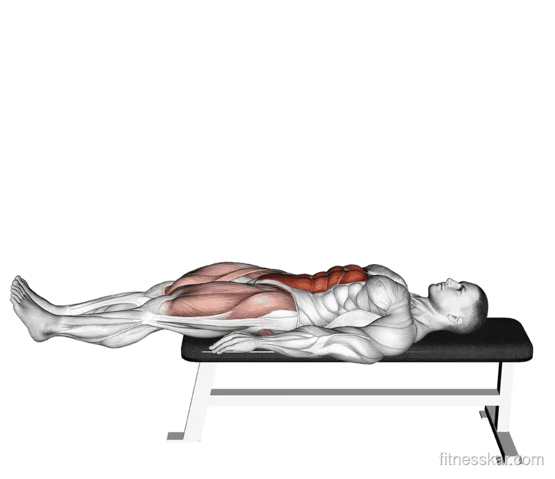 Lying Leg Raise on Flat Bench