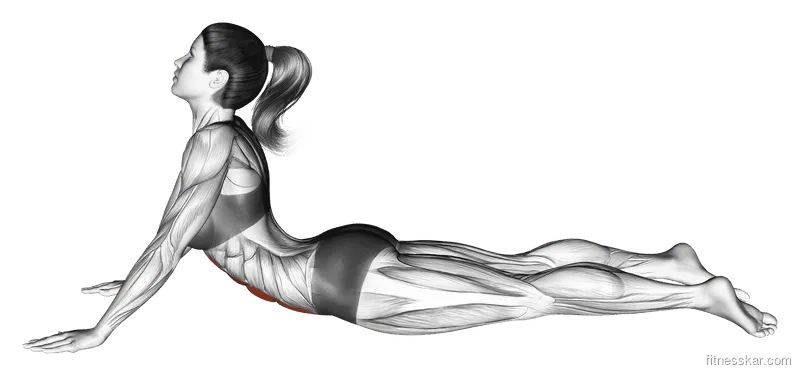 Lying (Prone) Abdominal Stretch, Female demonstration, Start