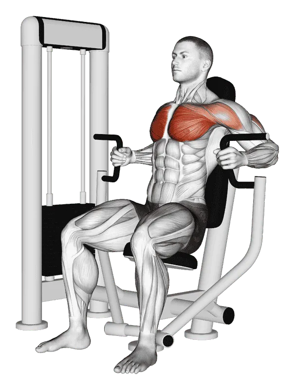 Machine Inner Chest Press, Male demonstration, Start