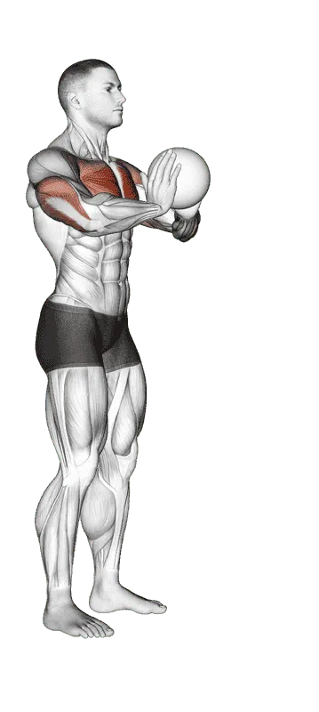 Medicine Ball Chest Pass