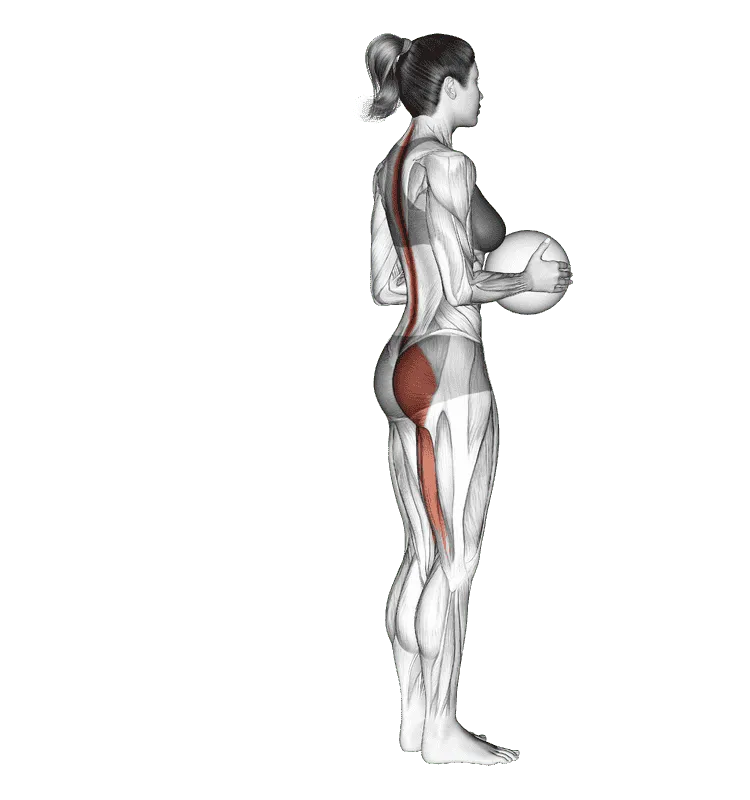 Medicine Ball Single-Leg Deadlift